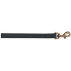 Ancol Nylon Lead Raspberry 12mmx1m