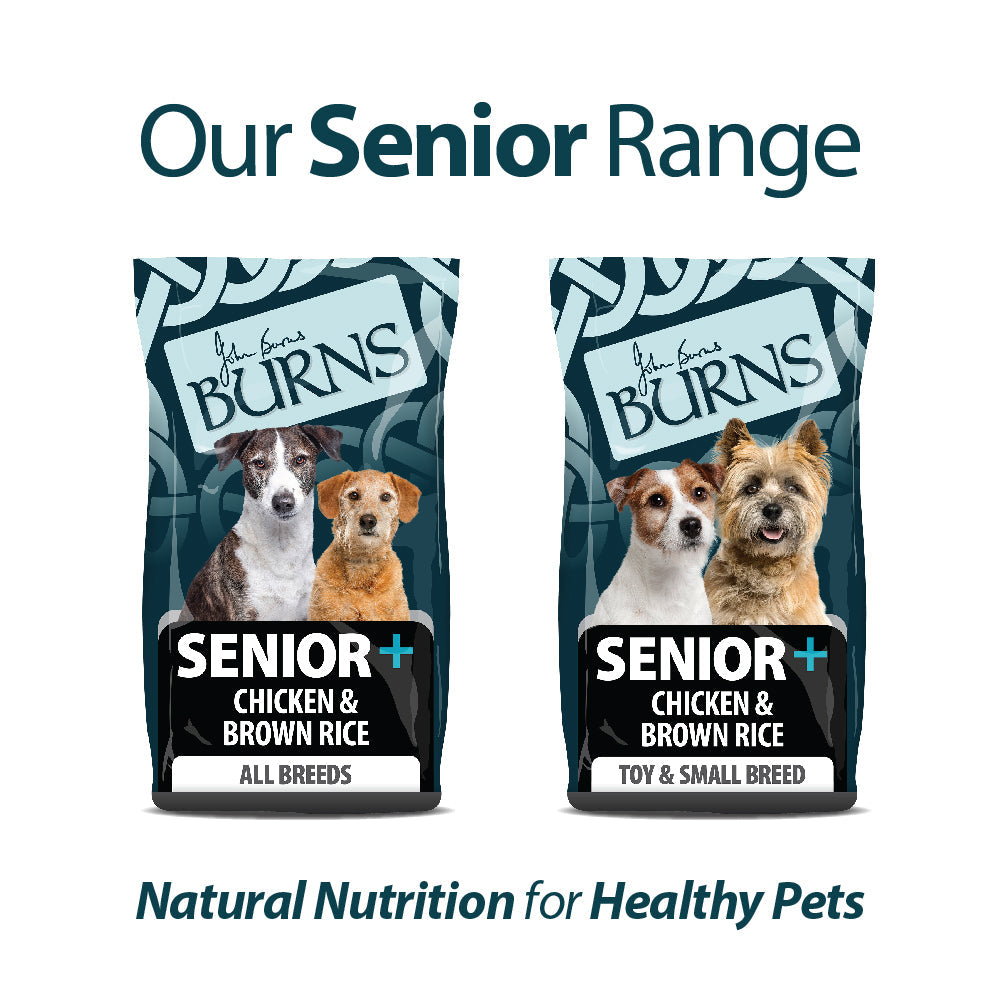 Burns Senior + Chicken & Brown Rice (medium/large dog) 2KG