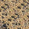Colonels F1 Wild Bird Food 20kg