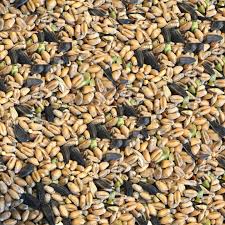 Colonels F1 Wild Bird Food 20kg