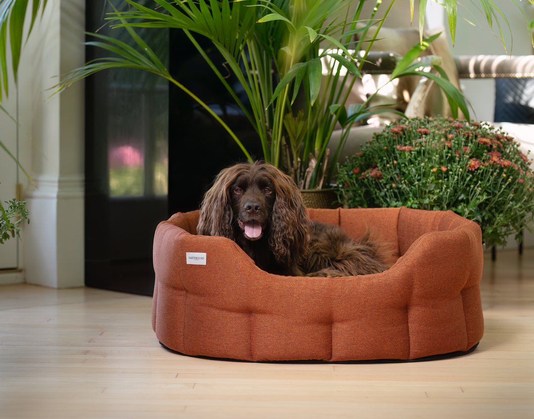 Earthbound Classic Camden Bed Burnt Orange Large