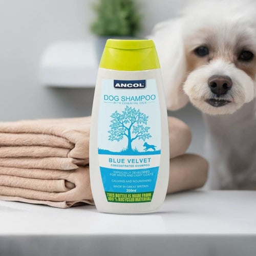 Ancol Puppy Shampoo 200ml