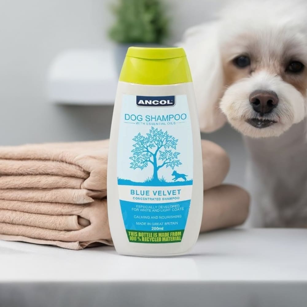 Ancol Blue Velvet Dog Shampoo 200ml