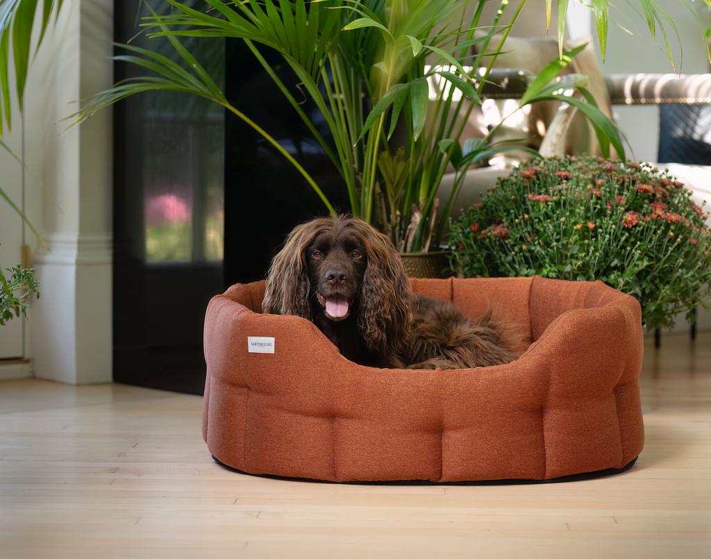 Earthbound Round Camden Burnt Orange Medium
