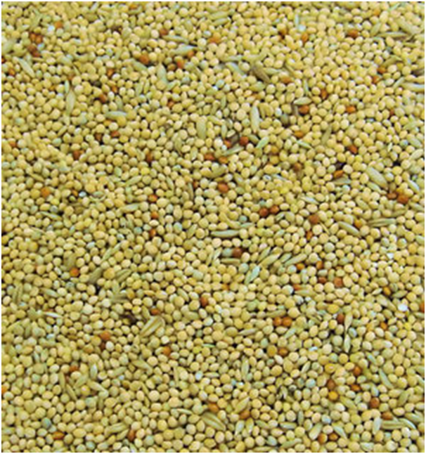 Colonels BBB Budgie 2kg